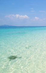  beach and tropical sea