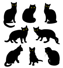 Black cats silhouette