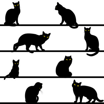 pattern with cats silhouettes 