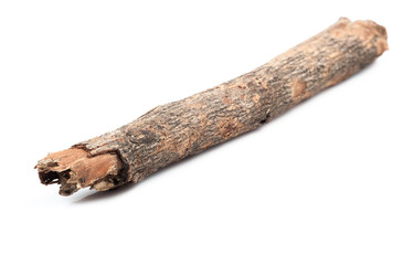 Branches on white background.