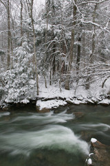 Snow covered pine trees on the side of a river in the winter.