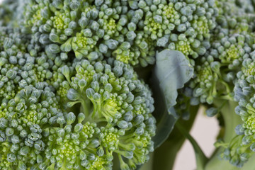 green broccoli organic vegetable, close up image