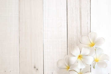 Obraz na płótnie Canvas frangipani (plumeria) flowers in soft color and blur style on white wooden background 