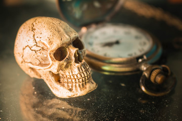 Skull and old stopwatch.