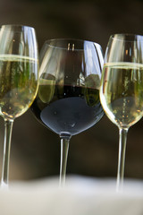 Red and white wine glasses.