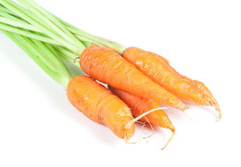 Carrot vegetable with leaves isolated on white background