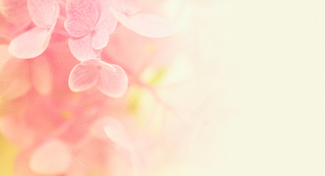 Fototapeta pink flowers in soft and blur style on mulberry paper texture for background  