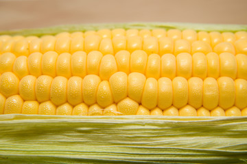 One ear of corn ripe on a old cloth
