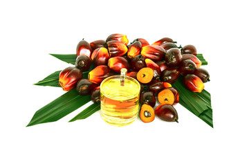 Oil plam fruit with oil on white background