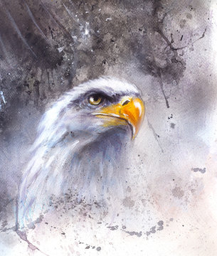 beautiful painting of  eagle on an abstract background 