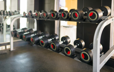 Fototapeta na wymiar Different sizes and weights dumbbells on stand in modern gym