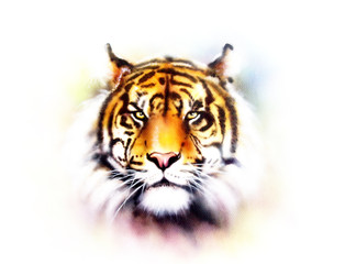  tiger head on a soft toned abstract background 