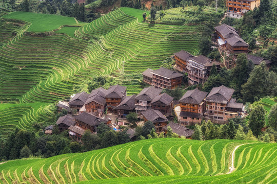 Longi rice terrace