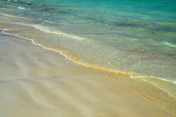 Caribbean Sea. Cayo Largo. Cuba
Wild Coast  with turquoise sea 