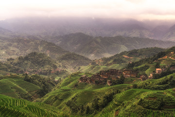 Naklejka premium longji rice terrace