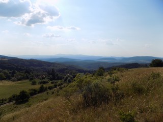 Meadow, forests and sky