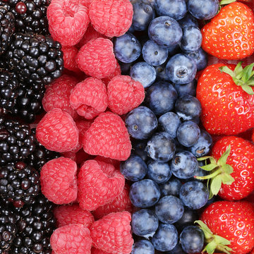 Beeren Früchte in einer Reihe mit Erdbeeren, Himbeeren und Blau