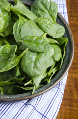 Fresh spinach leaves