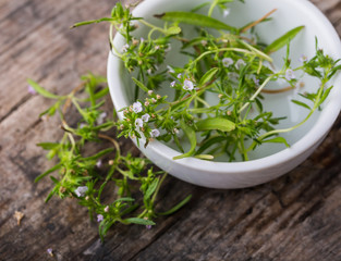 Fresh savory in bowl