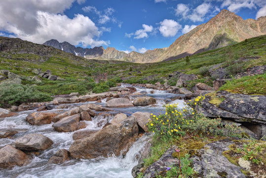 A small river in the mountain tundra