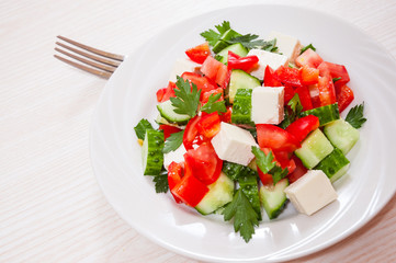 fresh vegetable salad with cheese
