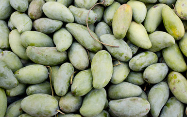 green mangoes full frame closeup.