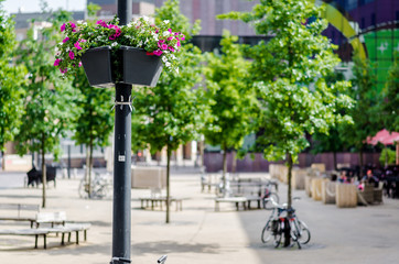 Street lamp decorated with fresh flowers. Eindhoven, Netherlands