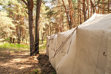 Tent in the woods