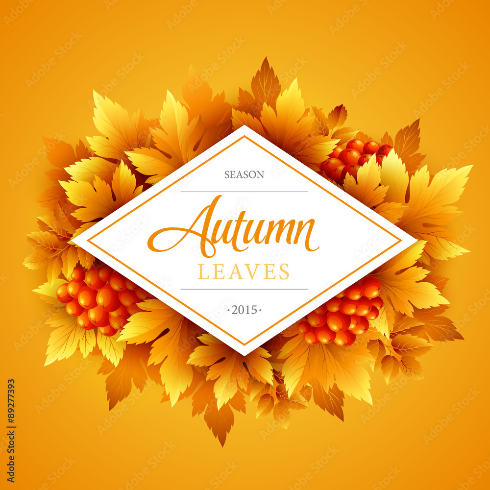 Wall mural autumn typographic. fall leaf. vector illustration