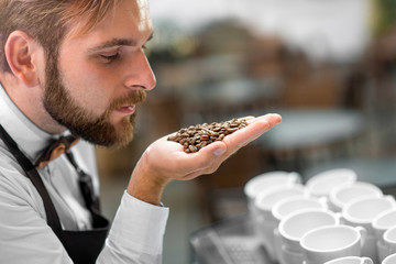 Barista checking coffee beans at the cafe