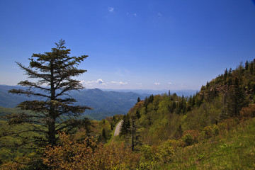 Waterrock Knob on the Blue Ridge Parkway in the Spring