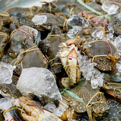 Raw blue crab - ready to sell in market.