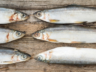 Vendace fishes on the gray wooden board