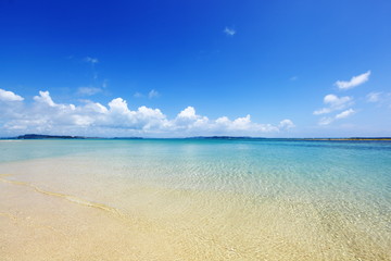 Fototapeta premium 透明な海