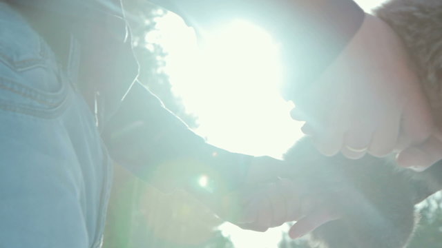 Love - romantic couple holding hands