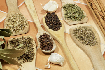 Aromatic dry herbs and spices: Oregano, parsley, cumin, thyme, black pepper, cloves, garlic, cinnamon and bay leaves.