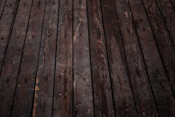 Wood Texture