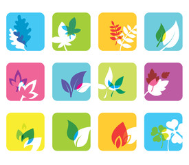 Fototapeta na wymiar Set of 12 botanical icons.