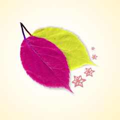 Autumn background with leafs  and stars in purple and green. Vector illustration. Eps 10.
