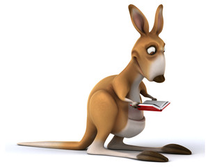 Fun kangaroo © Julien Tromeur