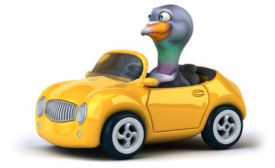 Obraz premium Fun pigeon