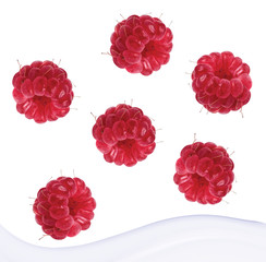 raspberries and milk splash, isolated on white background