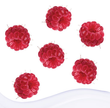 raspberries and milk splash, isolated on white background