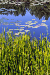 Obraz premium Silver Lake in Sullivan County