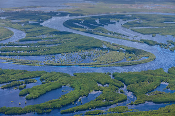 Forest river in spring, top view