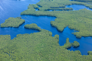 Forest river in spring, top view