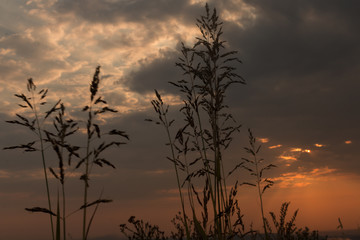 Amazing colorful dramatic sunset