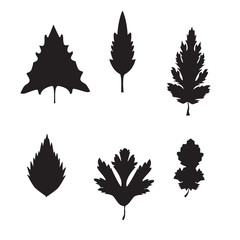 Collection of silhouette leaves