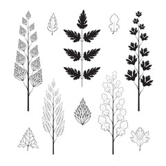 Collection of silhouette leaves