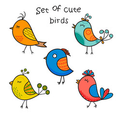 Cute color birds in vector. Cartoon set, Five funny birds.